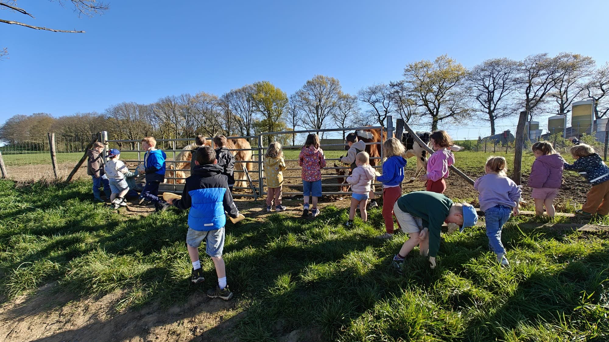 Kinderen spelen buiten tijdens boerderijkamp bij Lianko