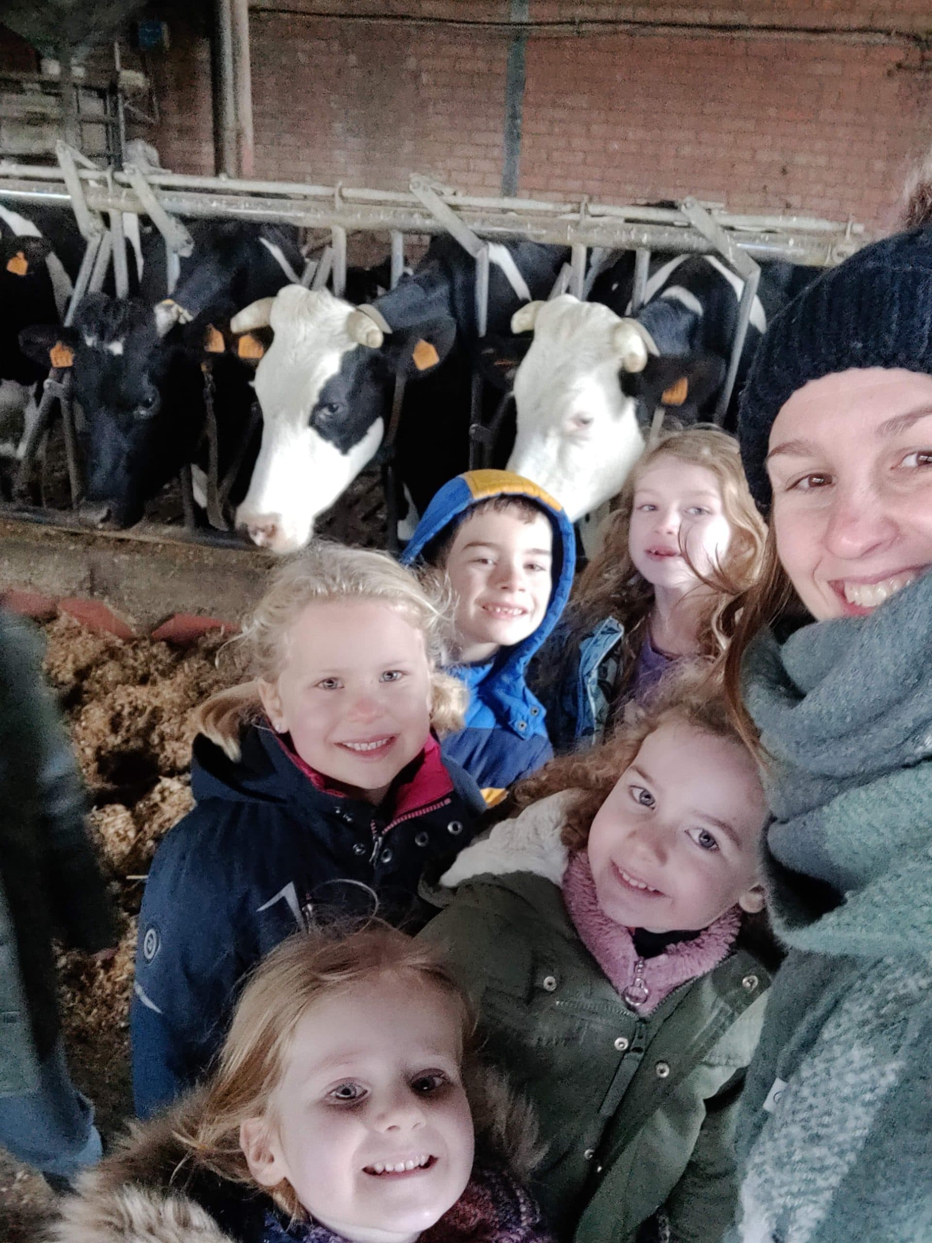 Dieren van dichtbij op kamp