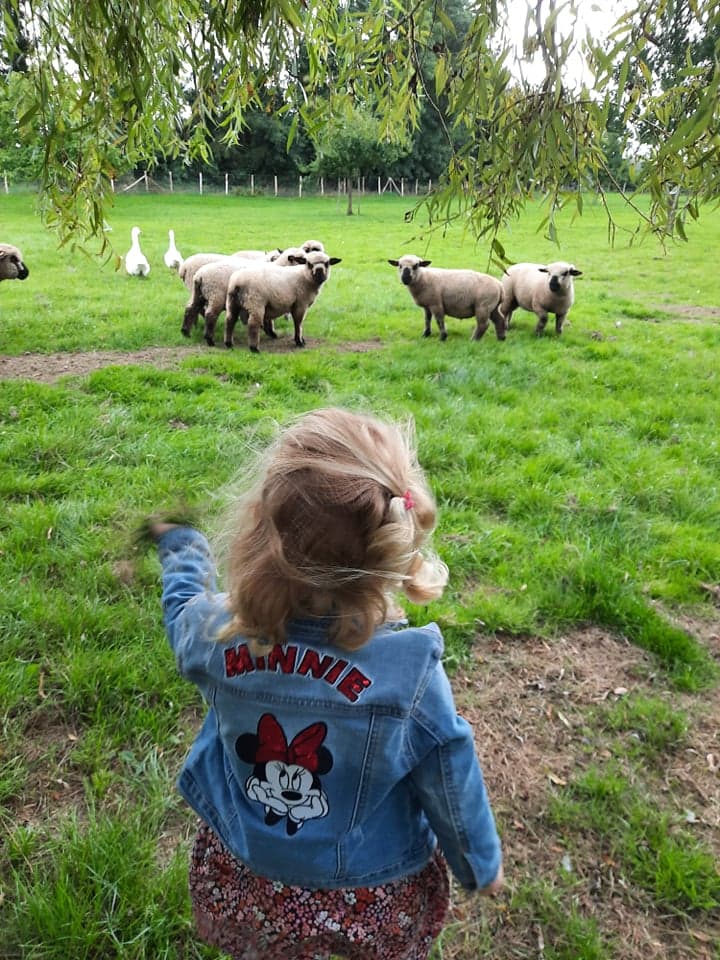 Boerderijervaring voor leerlingen