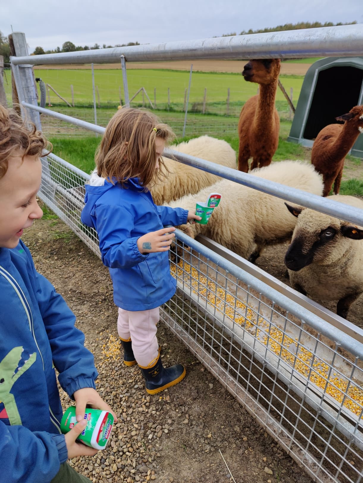 Kinderen leren over de dieren
