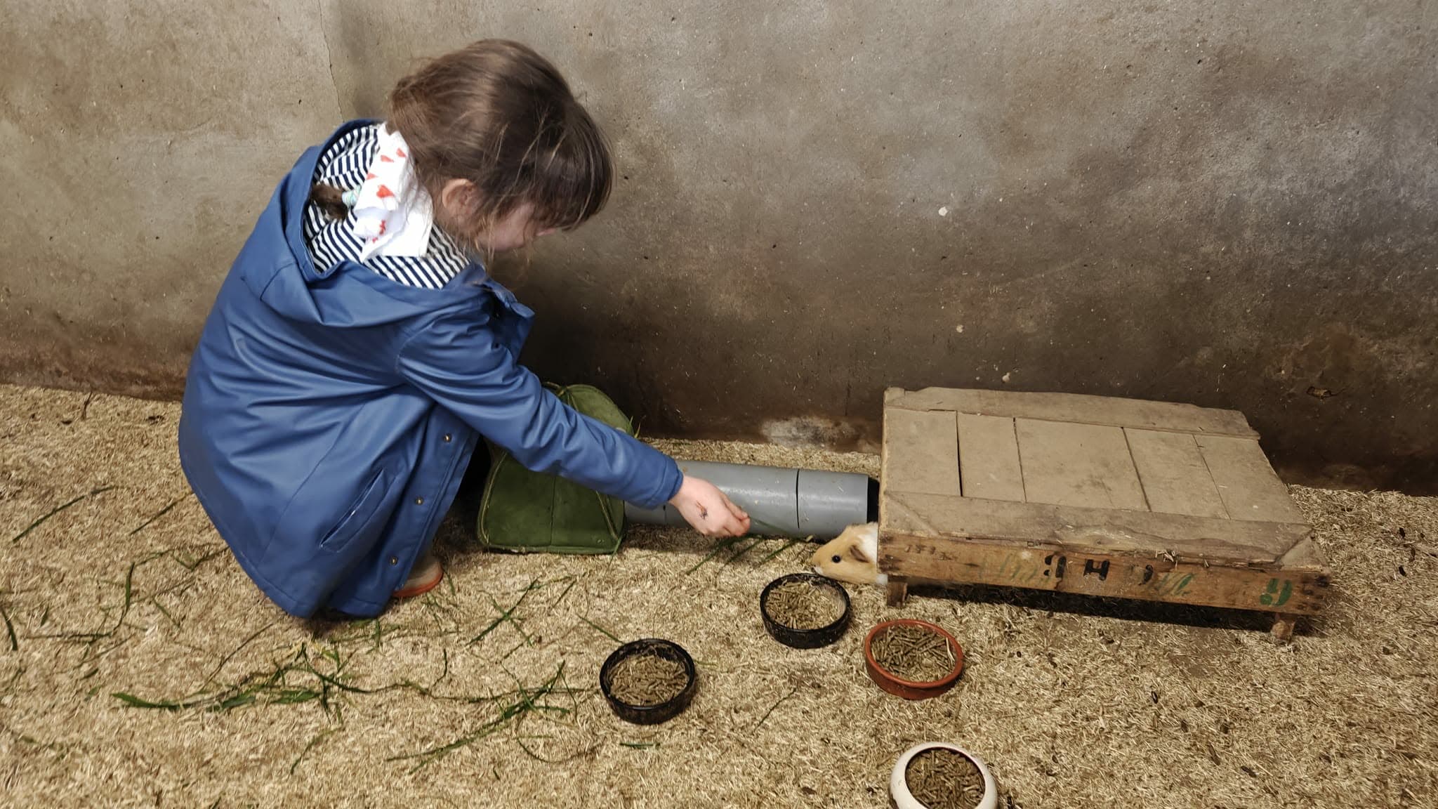 Samen met de dieren op kamp