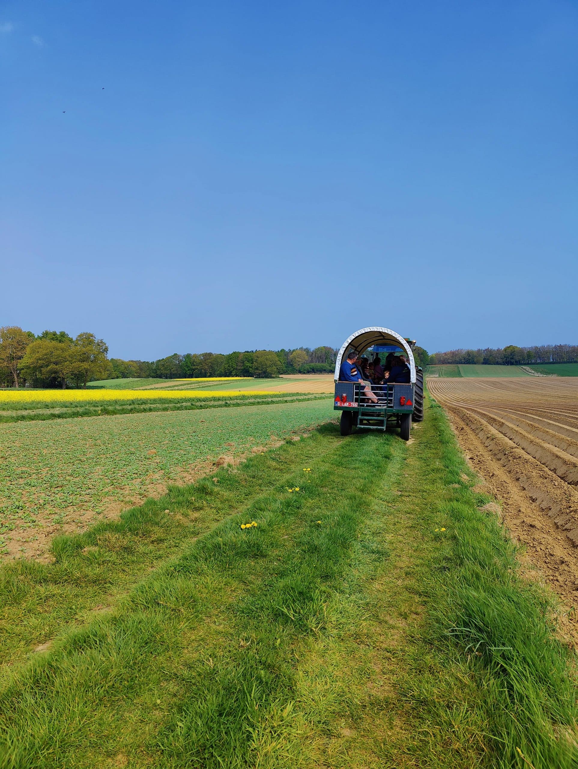 Huifkar door het landschap