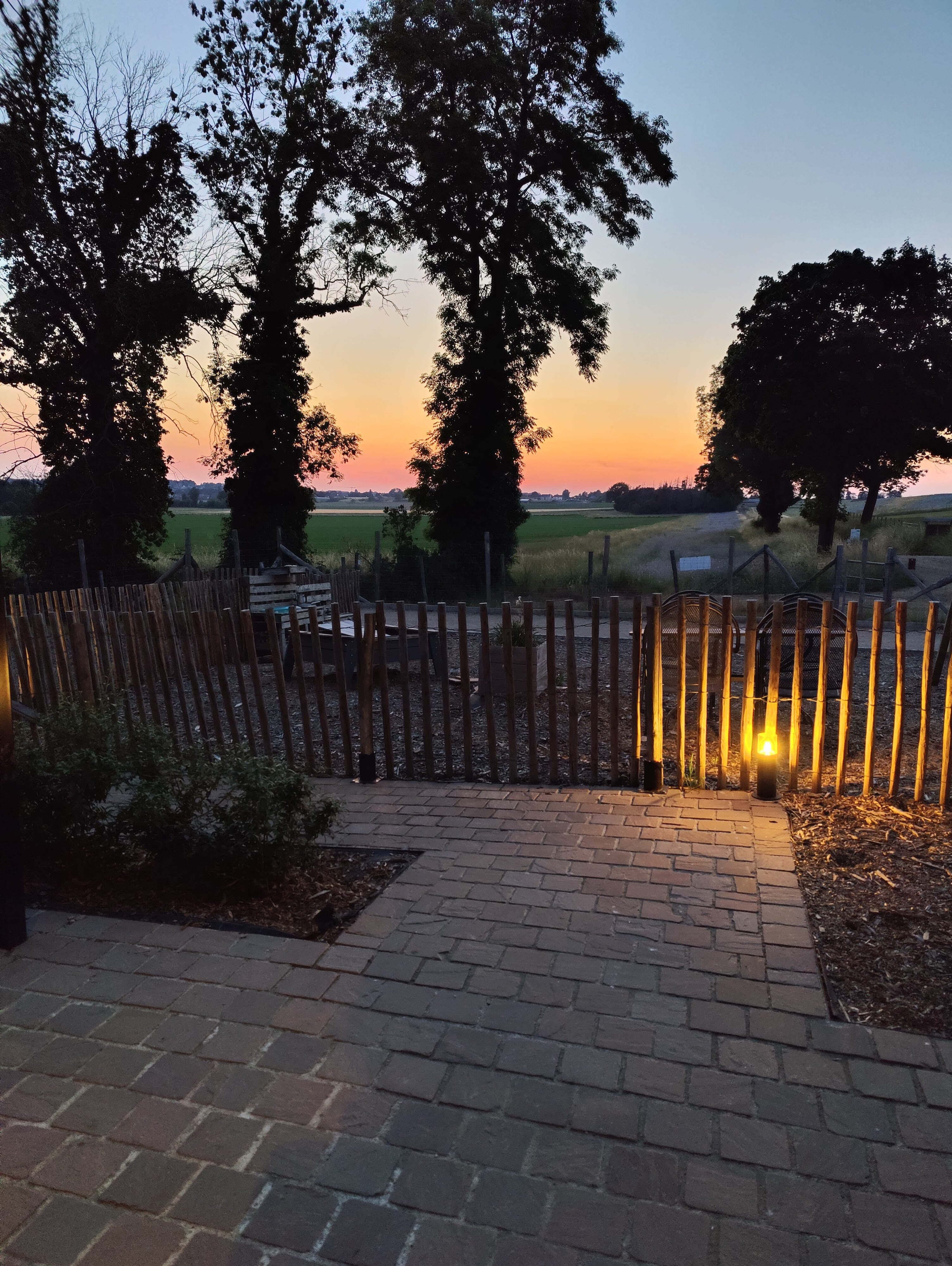 Tuin en groenten ontdekken