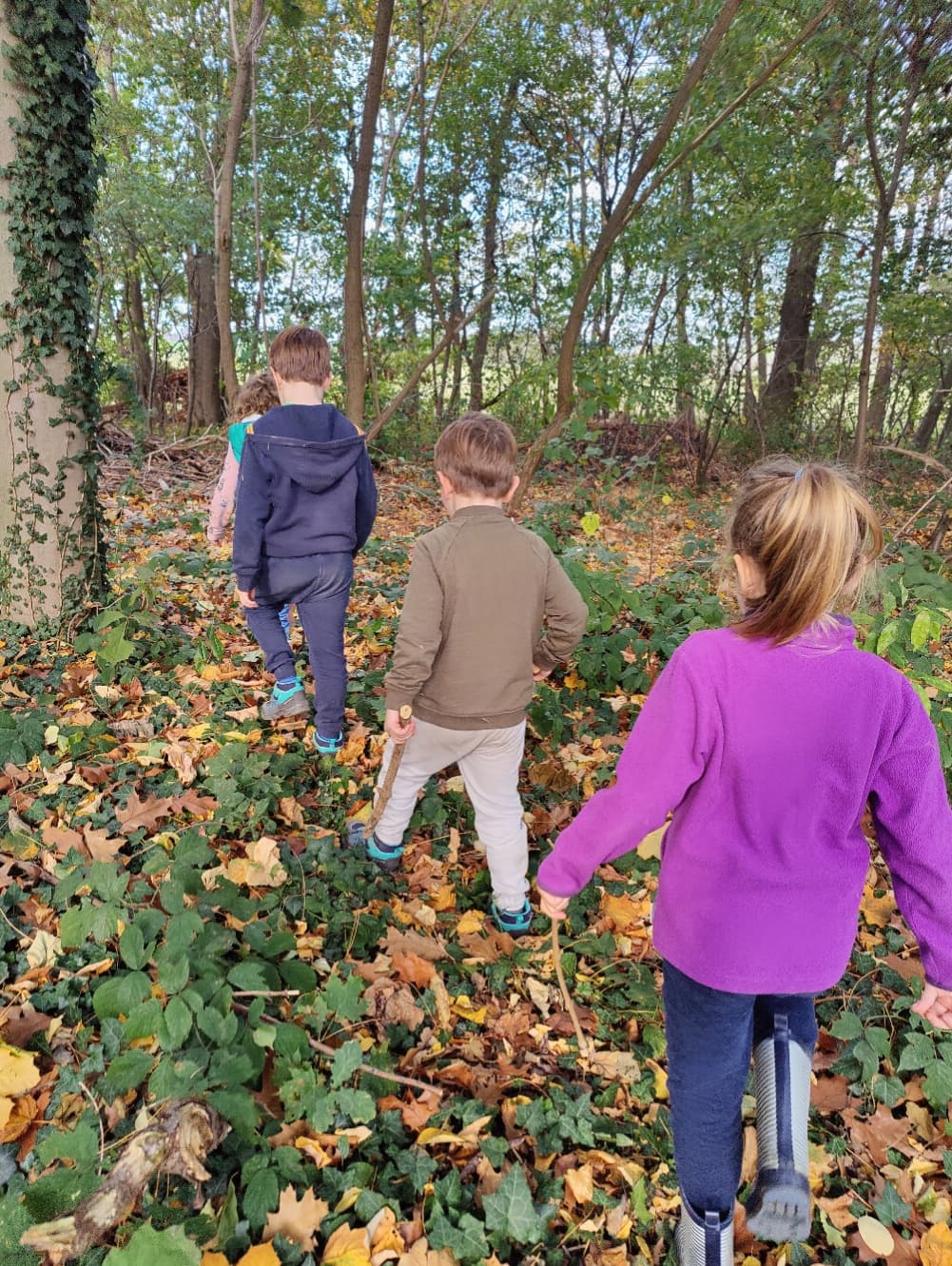 Wandelen over het landgoed