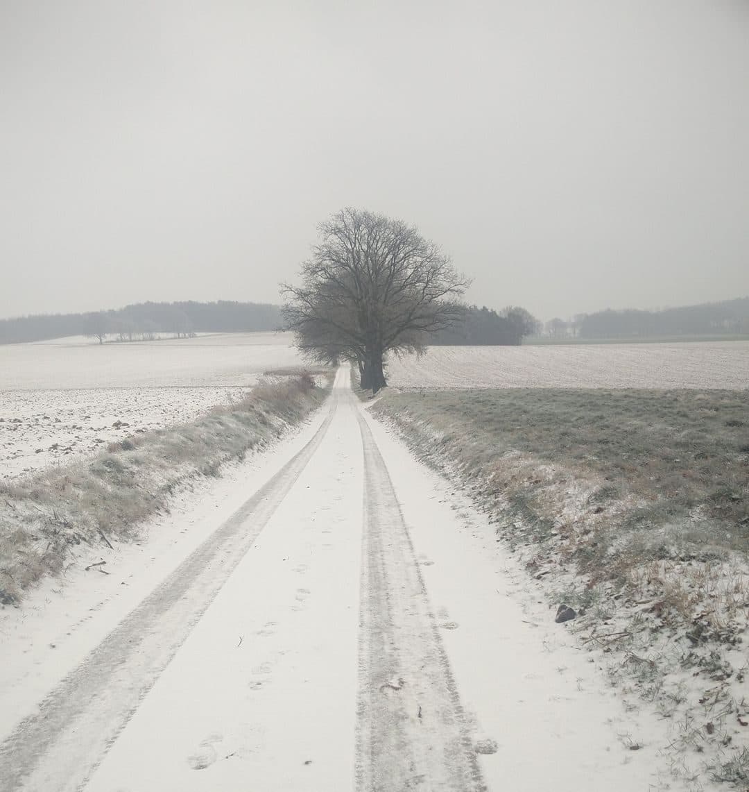 Wandelen na je feest