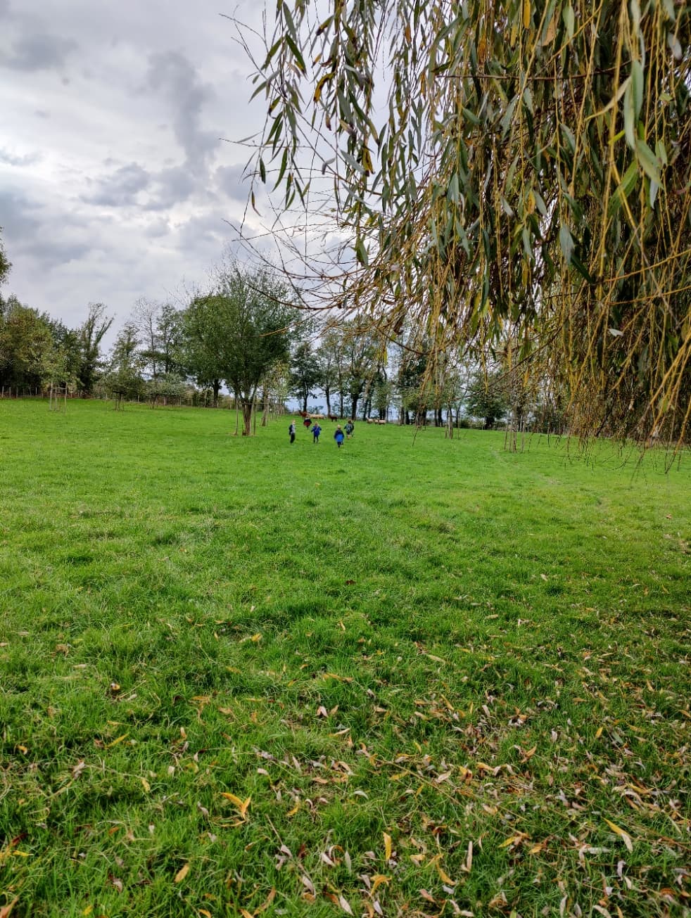 Op stap in het groen