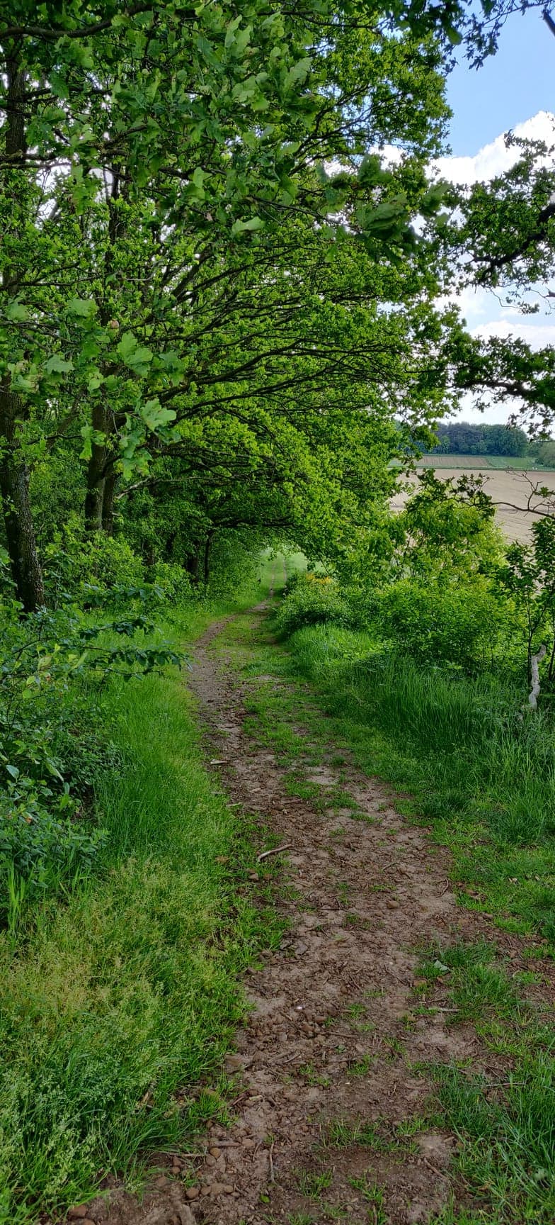 Ontdekken op het erf