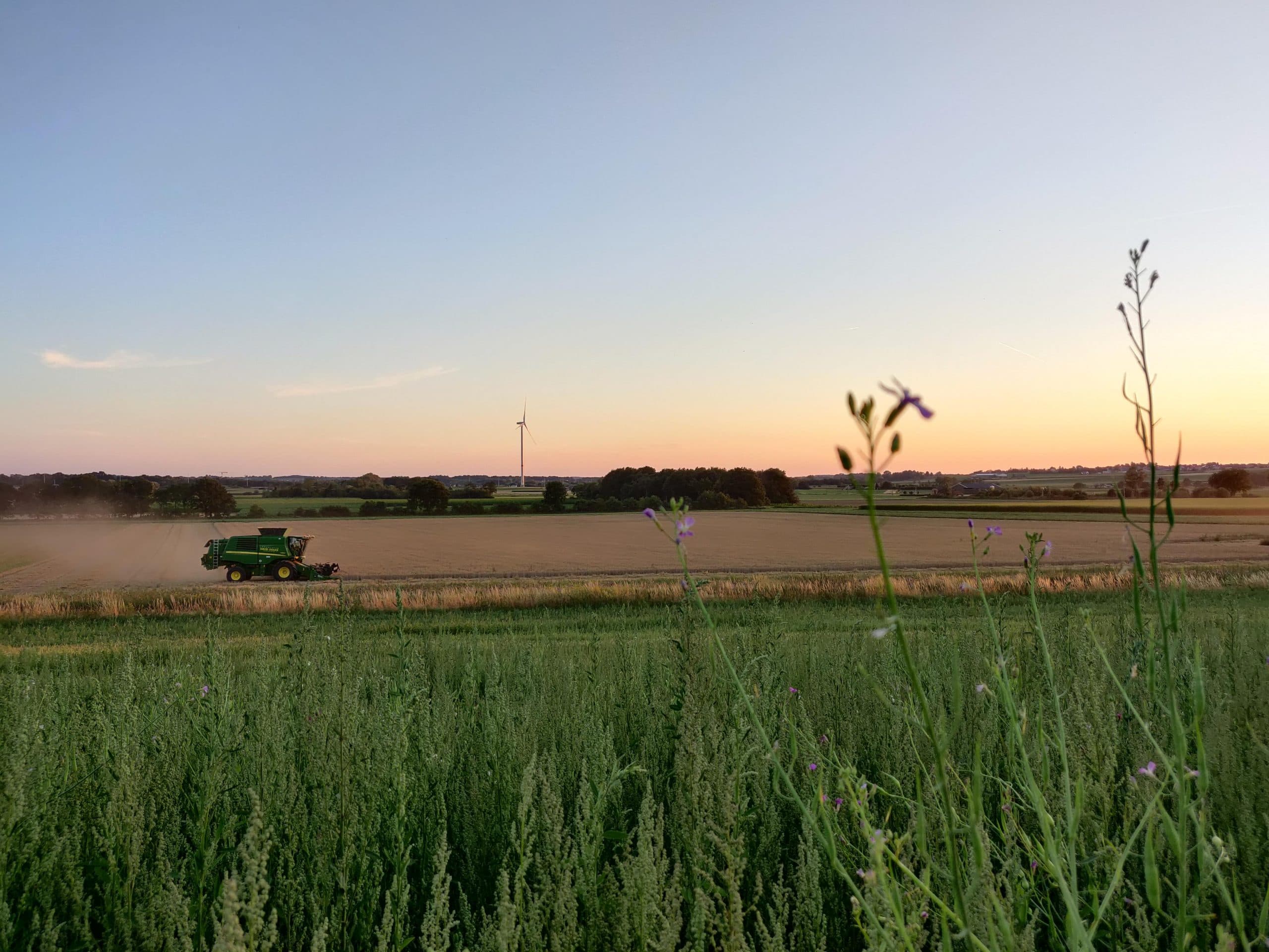 Wandeling op het domein