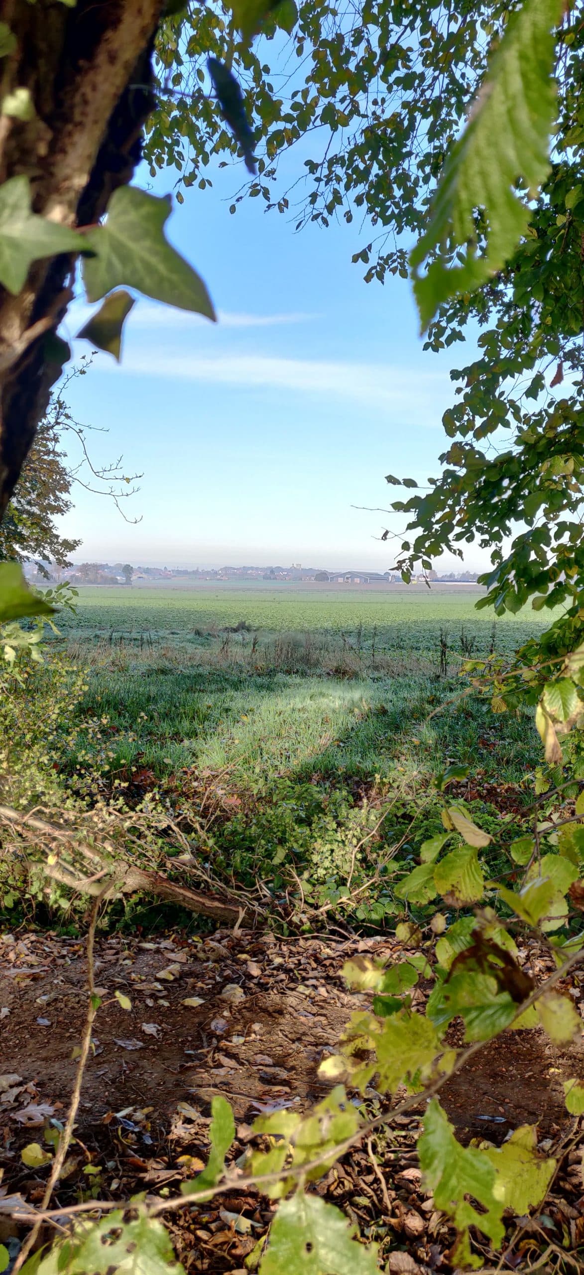 Buiten leren op Lianko