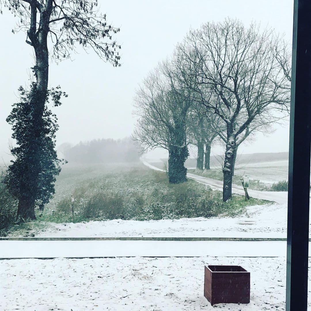 Natuur nabij de feestzaal