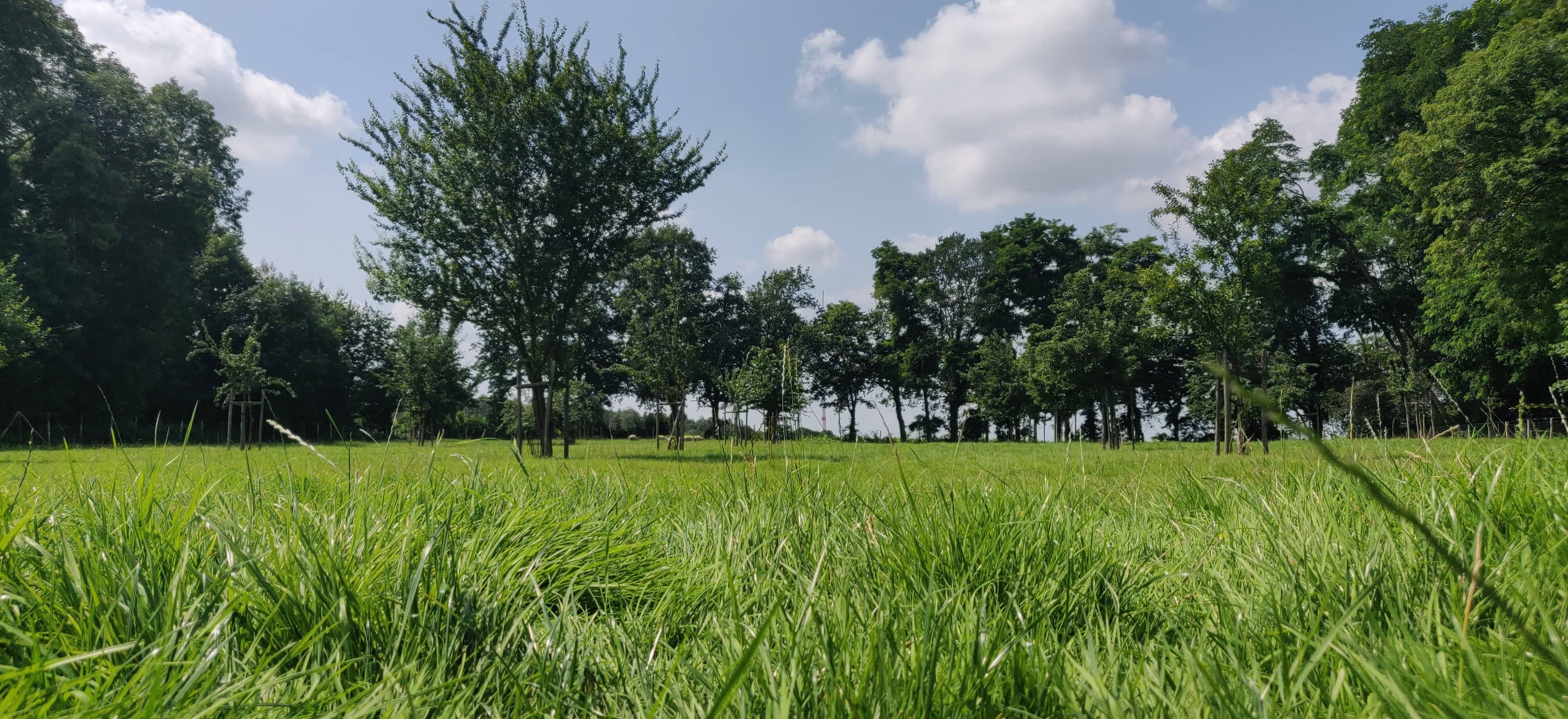 De boerderij van Lianko met groene velden en dieren