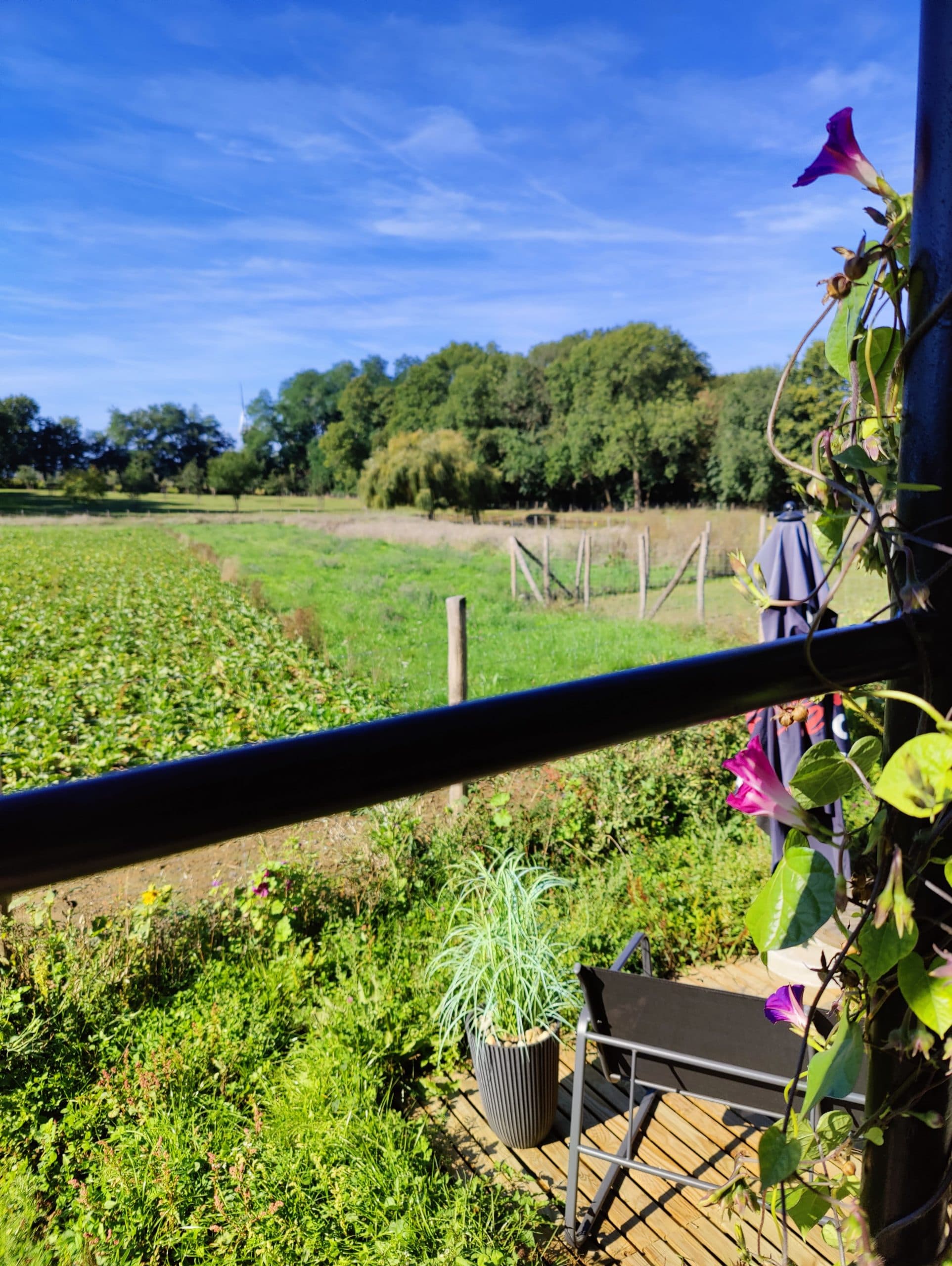't Huizeke bij Lianko — foto 9