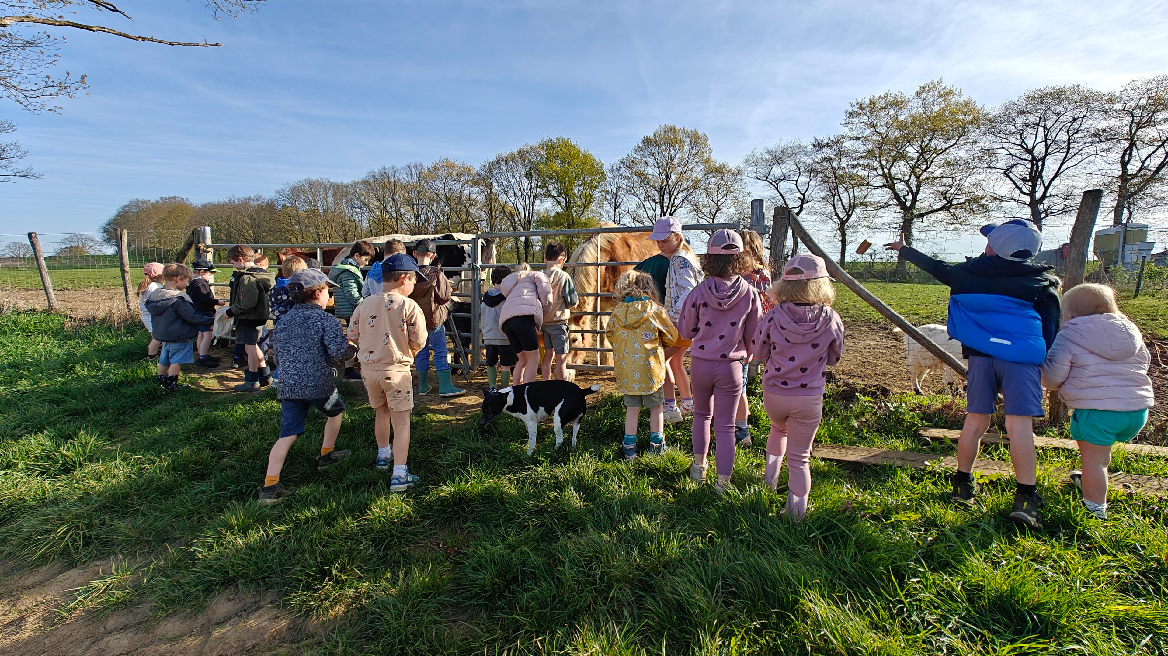 Kinderen en dieren tijdens een verjaardagsfeestje op Lianko